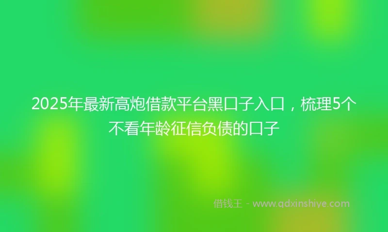 2025年最新高炮借款平台黑口子入口，梳理5个不看年龄征信负债的口子