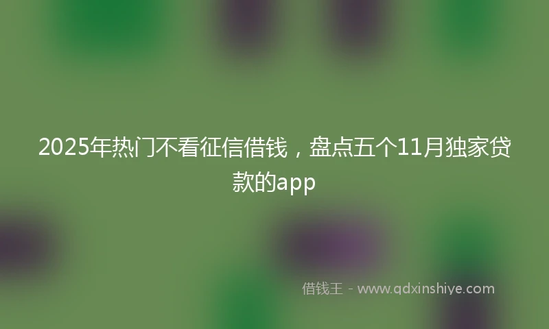 2025年热门不看征信借钱，盘点五个11月独家贷款的app