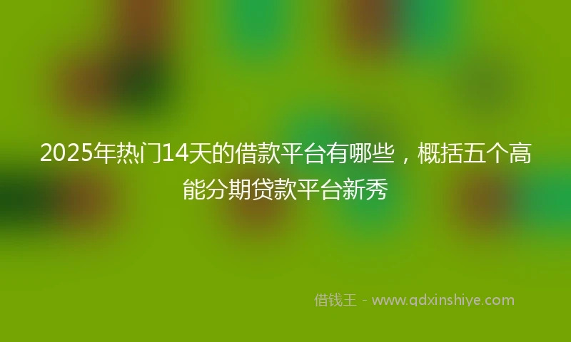 2025年热门14天的借款平台有哪些，概括五个高能分期贷款平台新秀