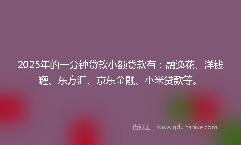 2025年的一分钟贷款小额贷款有：融逸花、洋钱罐、东方汇、京东金融、小米贷款等。