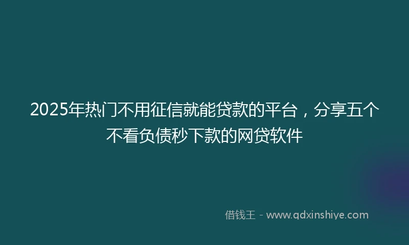 2025年热门不用征信就能贷款的平台，分享五个不看负债秒下款的网贷软件