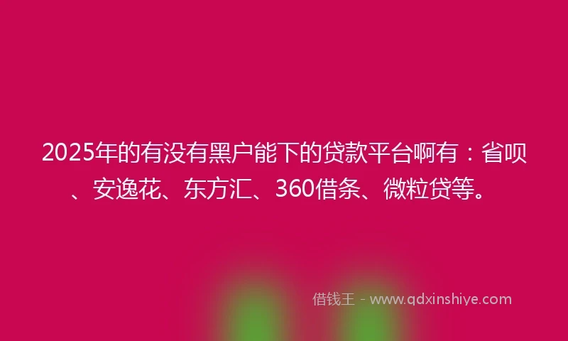 2025年的有没有黑户能下的贷款平台啊有：省呗、安逸花、东方汇、360借条、微粒贷等。