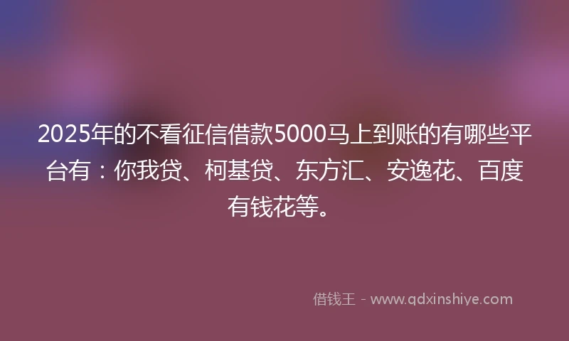 2025年的不看征信借款5000马上到账的有哪些平台有：你我贷、柯基贷、东方汇、安逸花、百度有钱花等。