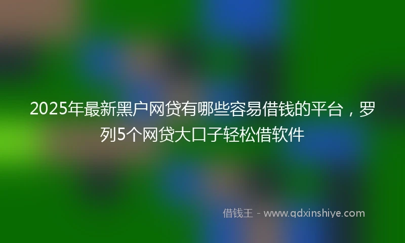 2025年最新黑户网贷有哪些容易借钱的平台，罗列5个网贷大口子轻松借软件