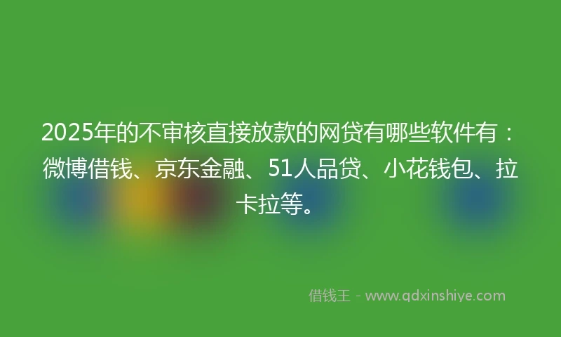 2025年的不审核直接放款的网贷有哪些软件有：微博借钱、京东金融、51人品贷、小花钱包、拉卡拉等。