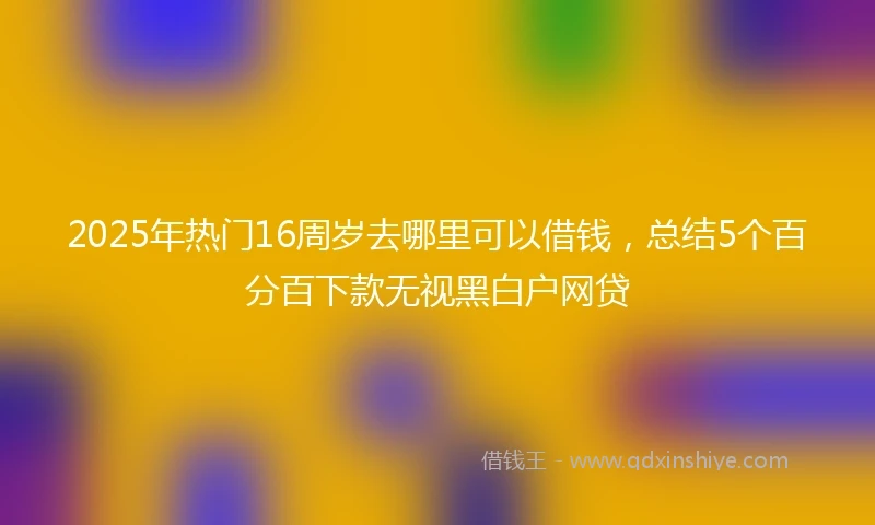 2025年热门16周岁去哪里可以借钱,总结5个百分百下款无视黑白户网贷