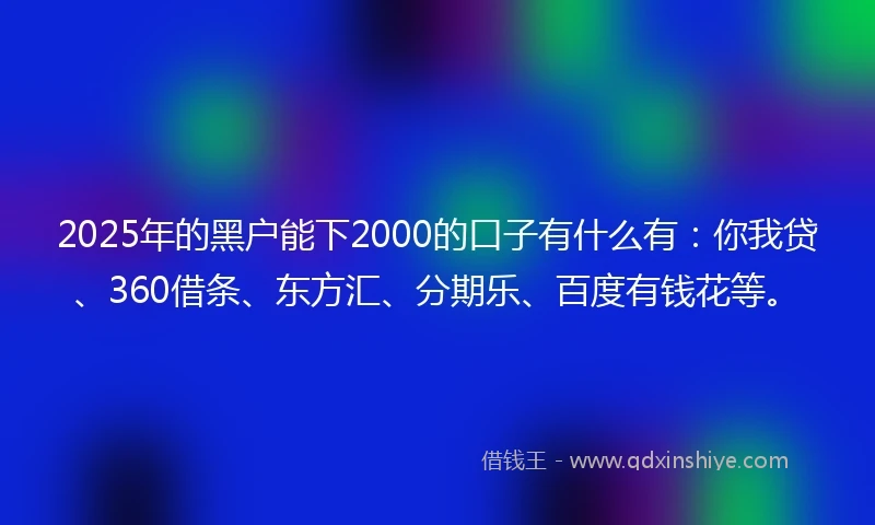 2025年的黑户能下2000的口子有什么有：你我贷、360借条、东方汇、分期乐、百度有钱花等。