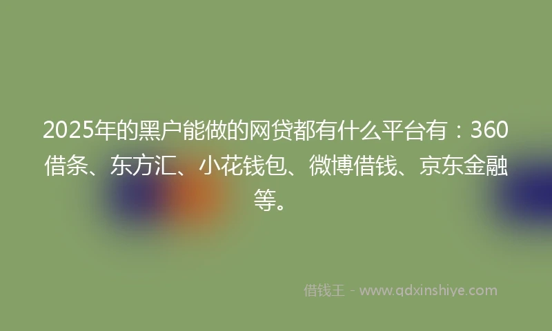 2025年的黑户能做的网贷都有什么平台有：360借条、东方汇、小花钱包、微博借钱、京东金融等。