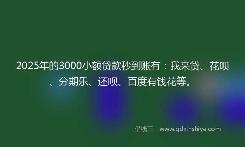 2025年的3000小额贷款秒到账有：我来贷、花呗、分期乐、还呗、百度有钱花等。