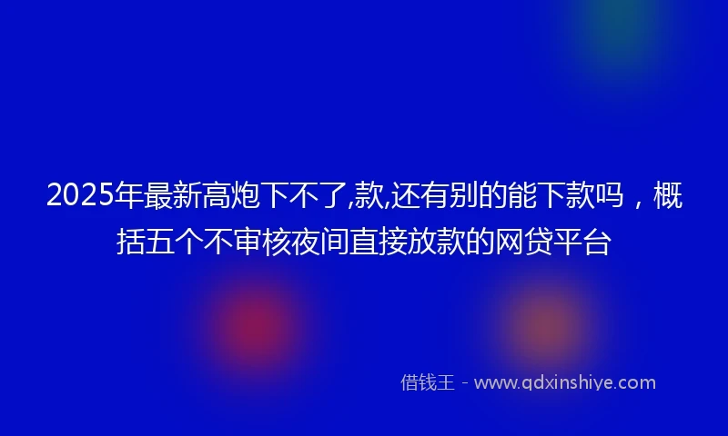 2025年最新高炮下不了,款,还有别的能下款吗，概括五个不审核夜间直接放款的网贷平台