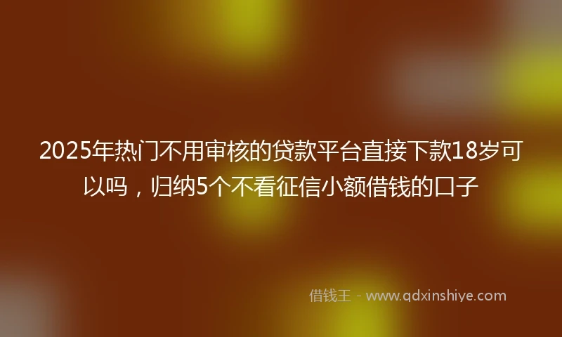 2025年热门不用审核的贷款平台直接下款18岁可以吗，归纳5个不看征信小额借钱的口子