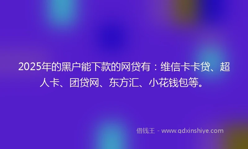 2025年的黑户能下款的网贷有：维信卡卡贷、超人卡、团贷网、东方汇、小花钱包等。