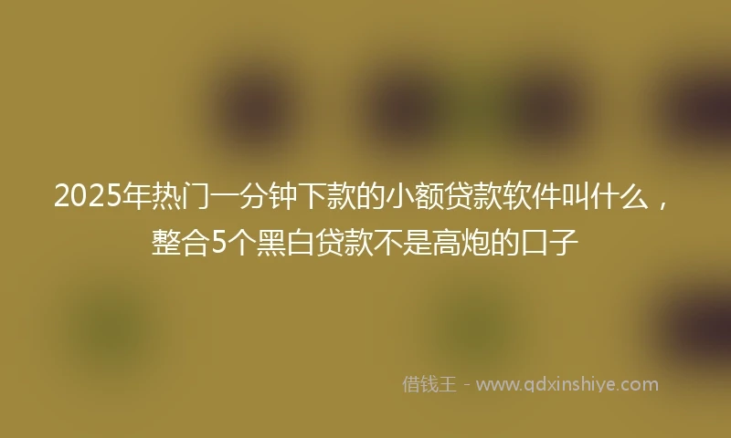 2025年热门一分钟下款的小额贷款软件叫什么，整合5个黑白贷款不是高炮的口子