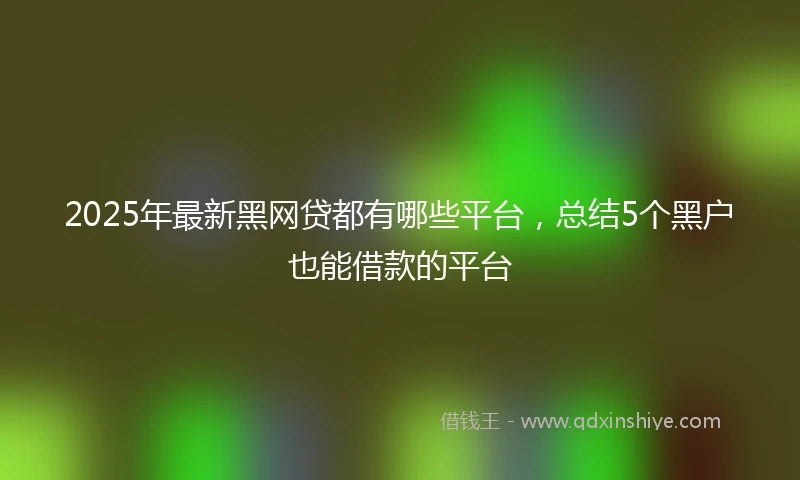 2025年最新黑网贷都有哪些平台，总结5个黑户也能借款的平台