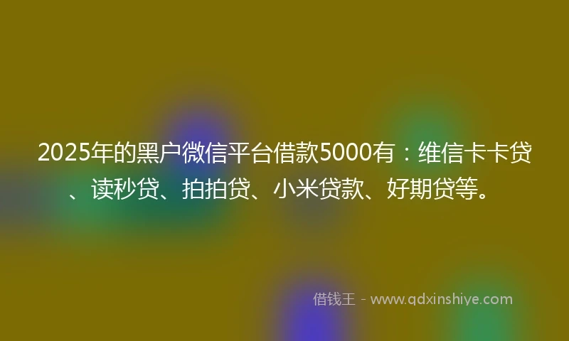 2025年的黑户微信平台借款5000有:维信卡卡贷、读秒贷、拍拍贷、小米贷款、好期贷等。