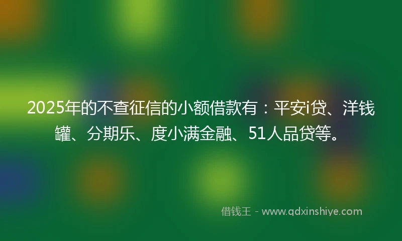 2025年的不查征信的小额借款有：平安i贷、洋钱罐、分期乐、度小满金融、51人品贷等。