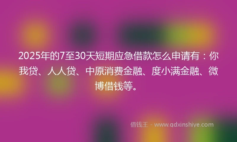 2025年的7至30天短期应急借款怎么申请有：你我贷、人人贷、中原消费金融、度小满金融、微博借钱等。