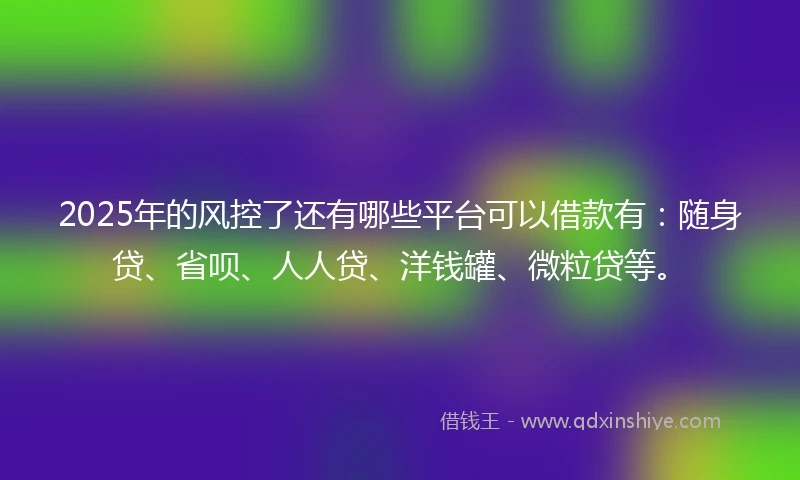 2025年的风控了还有哪些平台可以借款有：随身贷、省呗、人人贷、洋钱罐、微粒贷等。