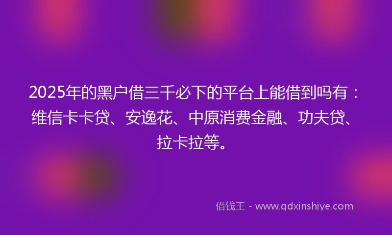 2025年的黑户借三千必下的平台上能借到吗有：维信卡卡贷、安逸花、中原消费金融、功夫贷、拉卡拉等。