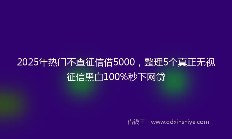 2025年热门不查征信借5000,整理5个真正无视征信黑白100%秒下网贷