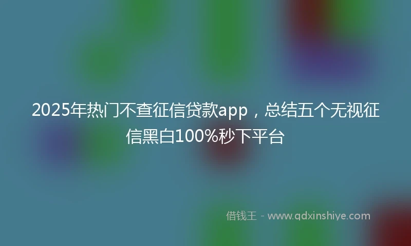 2025年热门不查征信贷款app，总结五个无视征信黑白100%秒下平台