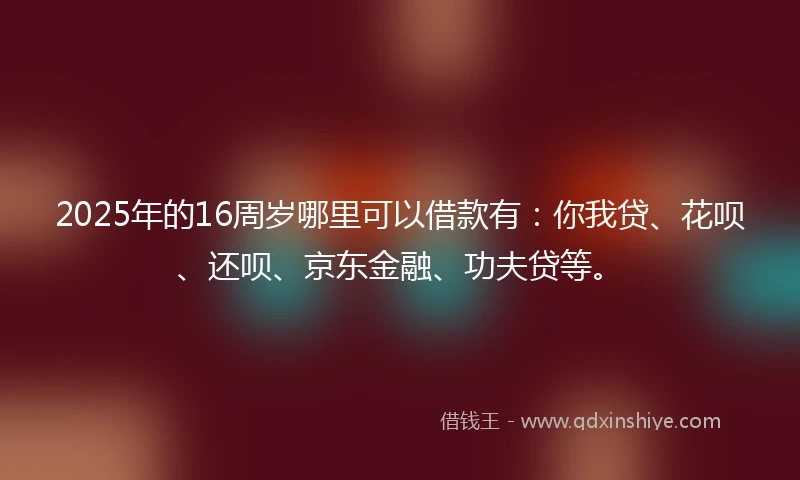 2025年的16周岁哪里可以借款有：你我贷、花呗、还呗、京东金融、功夫贷等。