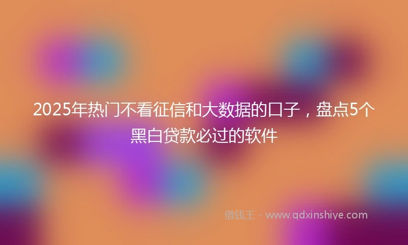 2025年热门不看征信和大数据的口子，盘点5个黑白贷款必过的软件