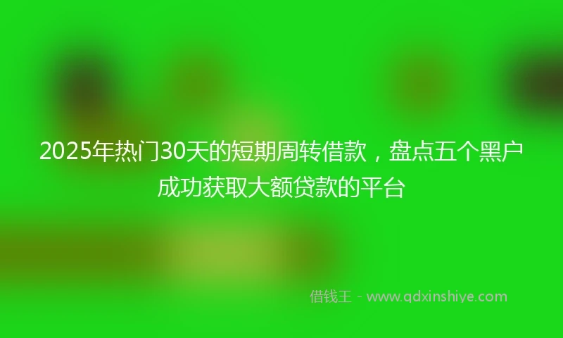 2025年热门30天的短期周转借款，盘点五个黑户成功获取大额贷款的平台