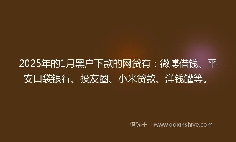 2025年的1月黑户下款的网贷有:微博借钱、平安口袋银行、投友圈、小米贷款、洋钱罐等。