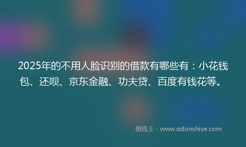 2025年的不用人脸识别的借款有哪些有：小花钱包、还呗、京东金融、功夫贷、百度有钱花等。