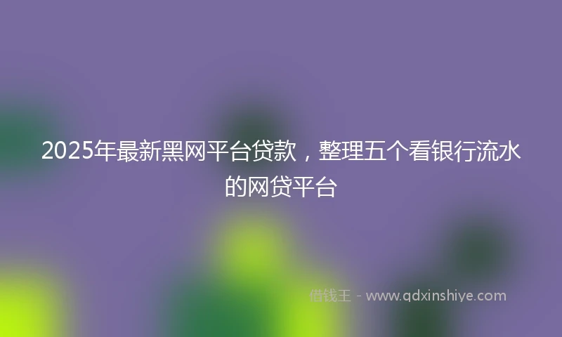 2025年最新黑网平台贷款，整理五个看银行流水的网贷平台