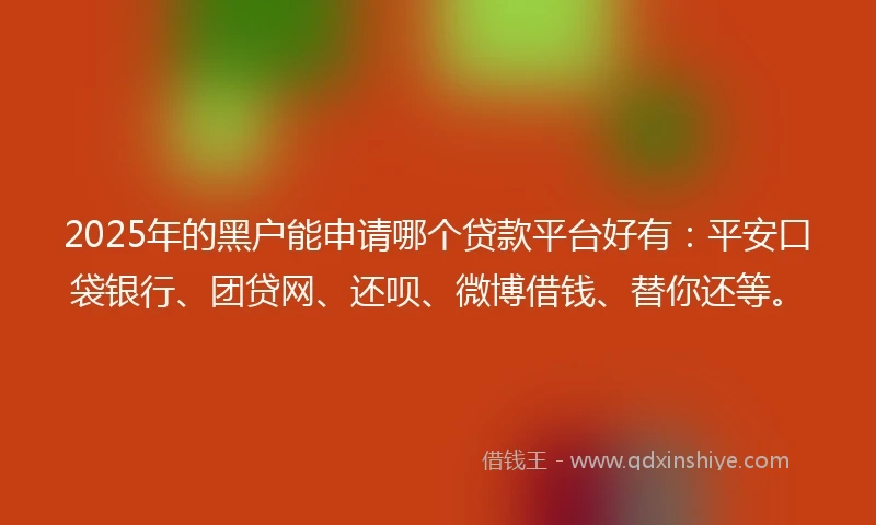 2025年的黑户能申请哪个贷款平台好有：平安口袋银行、团贷网、还呗、微博借钱、替你还等。