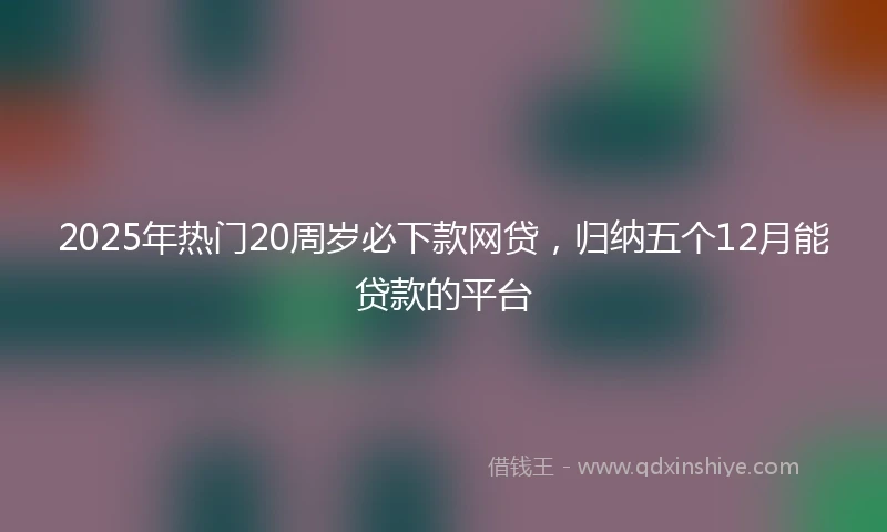 2025年热门20周岁必下款网贷，归纳五个12月能贷款的平台