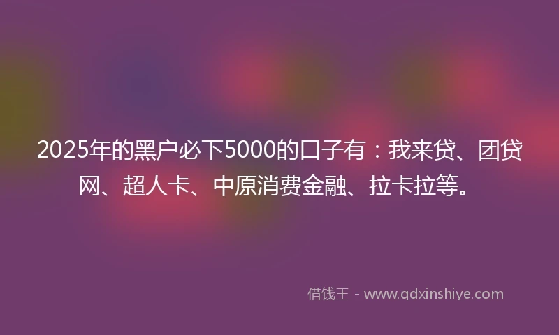 2025年的黑户必下5000的口子有：我来贷、团贷网、超人卡、中原消费金融、拉卡拉等。