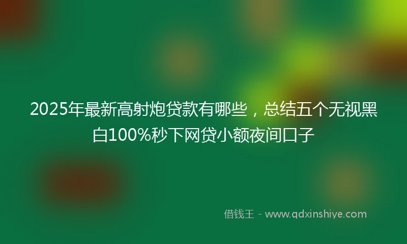 2025年最新高射炮贷款有哪些，总结五个无视黑白100%秒下网贷小额夜间口子