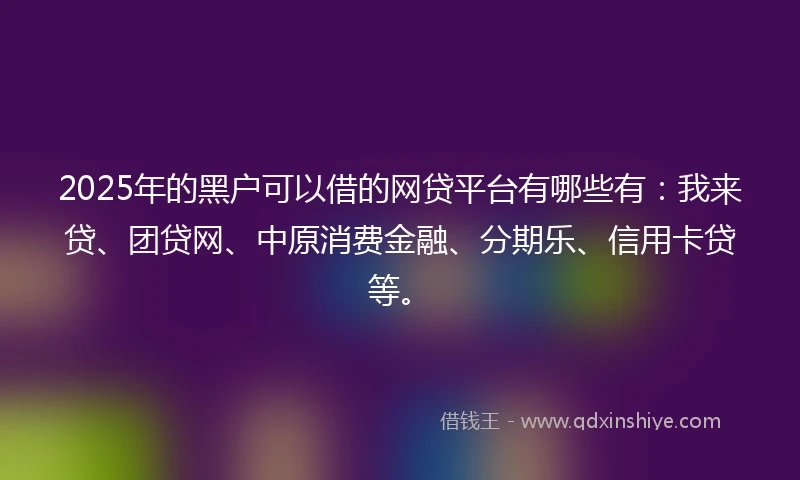 2025年的黑户可以借的网贷平台有哪些有：我来贷、团贷网、中原消费金融、分期乐、信用卡贷等。