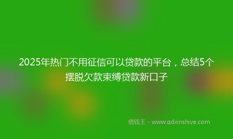 2025年热门不用征信可以贷款的平台，总结5个摆脱欠款束缚贷款新口子