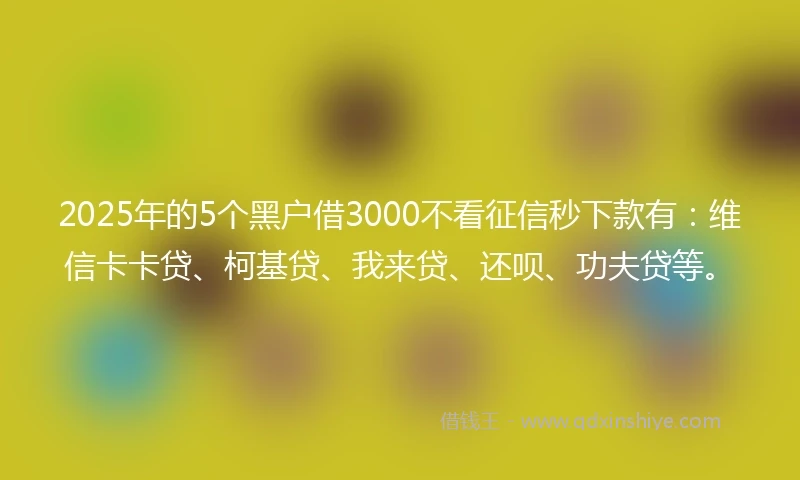 2025年的5个黑户借3000不看征信秒下款有:维信卡卡贷、柯基贷、我来贷、还呗、功夫贷等。