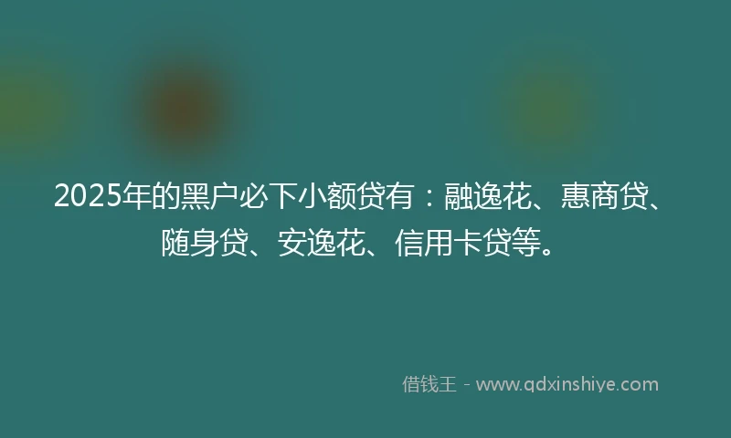 2025年的黑户必下小额贷有：融逸花、惠商贷、随身贷、安逸花、信用卡贷等。