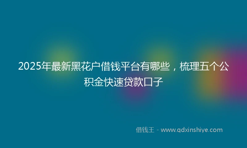 2025年最新黑花户借钱平台有哪些，梳理五个公积金快速贷款口子