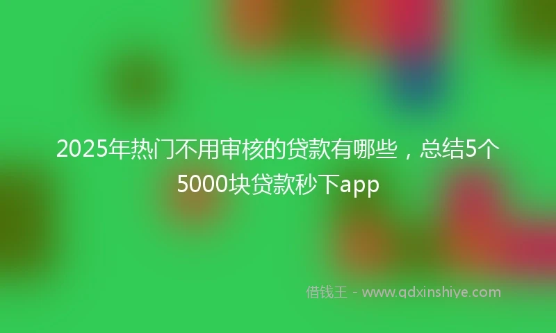 2025年热门不用审核的贷款有哪些，总结5个5000块贷款秒下app