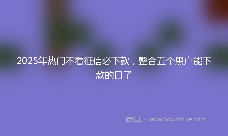 2025年热门不看征信必下款，整合五个黑户能下款的口子