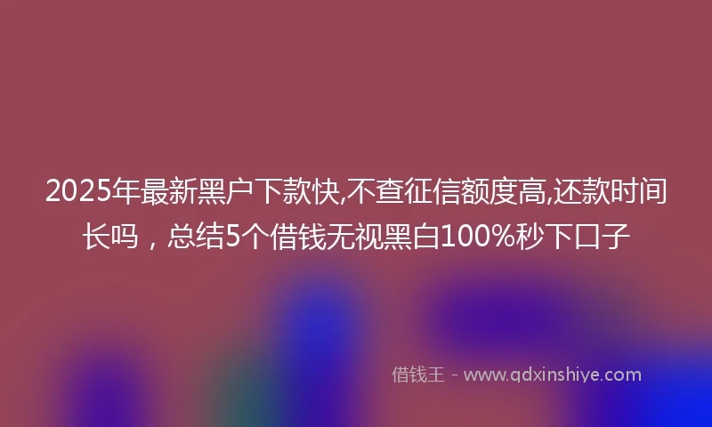 2025年最新黑户下款快,不查征信额度高,还款时间长吗，总结5个借钱无视黑白100%秒下口子