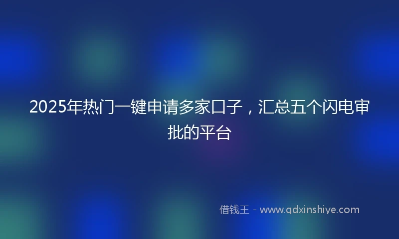 2025年热门一键申请多家口子，汇总五个闪电审批的平台