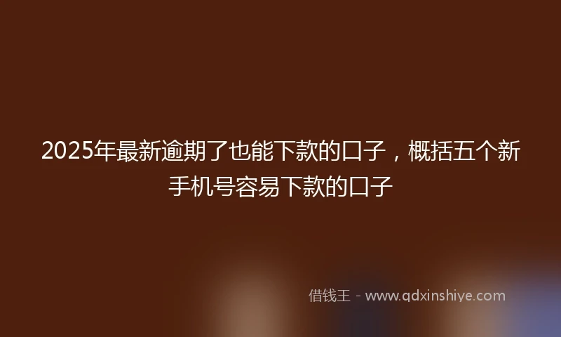 2025年最新逾期了也能下款的口子，概括五个新手机号容易下款的口子