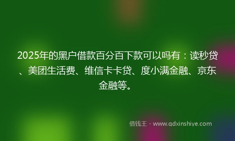 2025年的黑户借款百分百下款可以吗有：读秒贷、美团生活费、维信卡卡贷、度小满金融、京东金融等。
