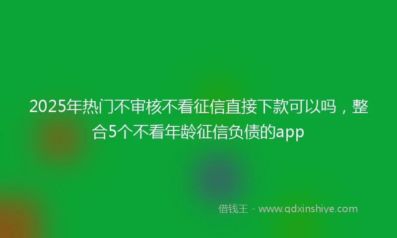 2025年热门不审核不看征信直接下款可以吗，整合5个不看年龄征信负债的app