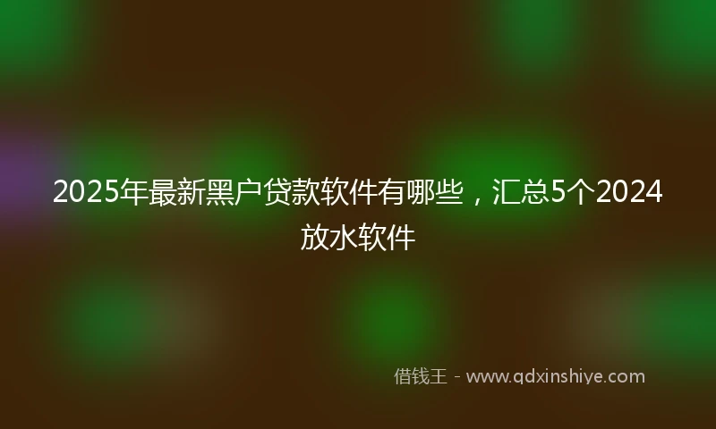 2025年最新黑户贷款软件有哪些，汇总5个2024放水软件