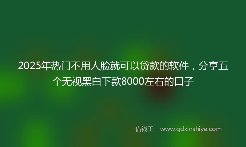 2025年热门不用人脸就可以贷款的软件，分享五个无视黑白下款8000左右的口子