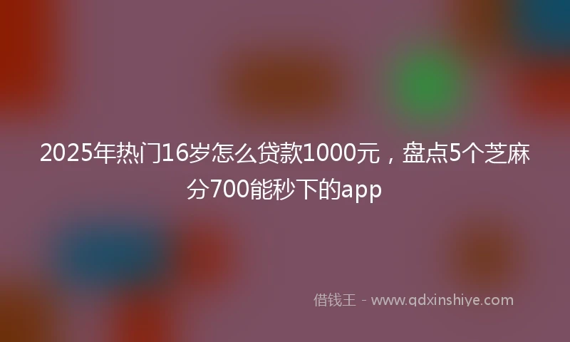 2025年热门16岁怎么贷款1000元，盘点5个芝麻分700能秒下的app